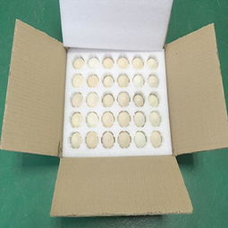 東莞石鼓紙箱廠 塘廈石馬珍珠棉紙箱定做服務(wù)與高清大圖展示